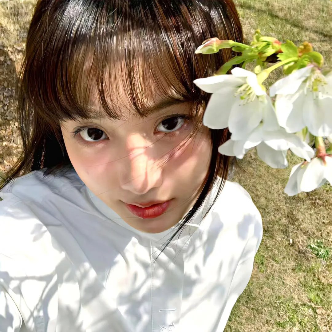 花园岛