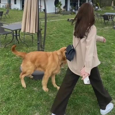 飞鹰